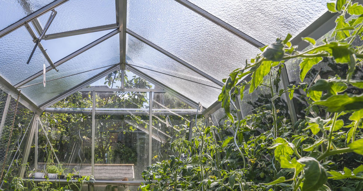 serres pour le jardinage